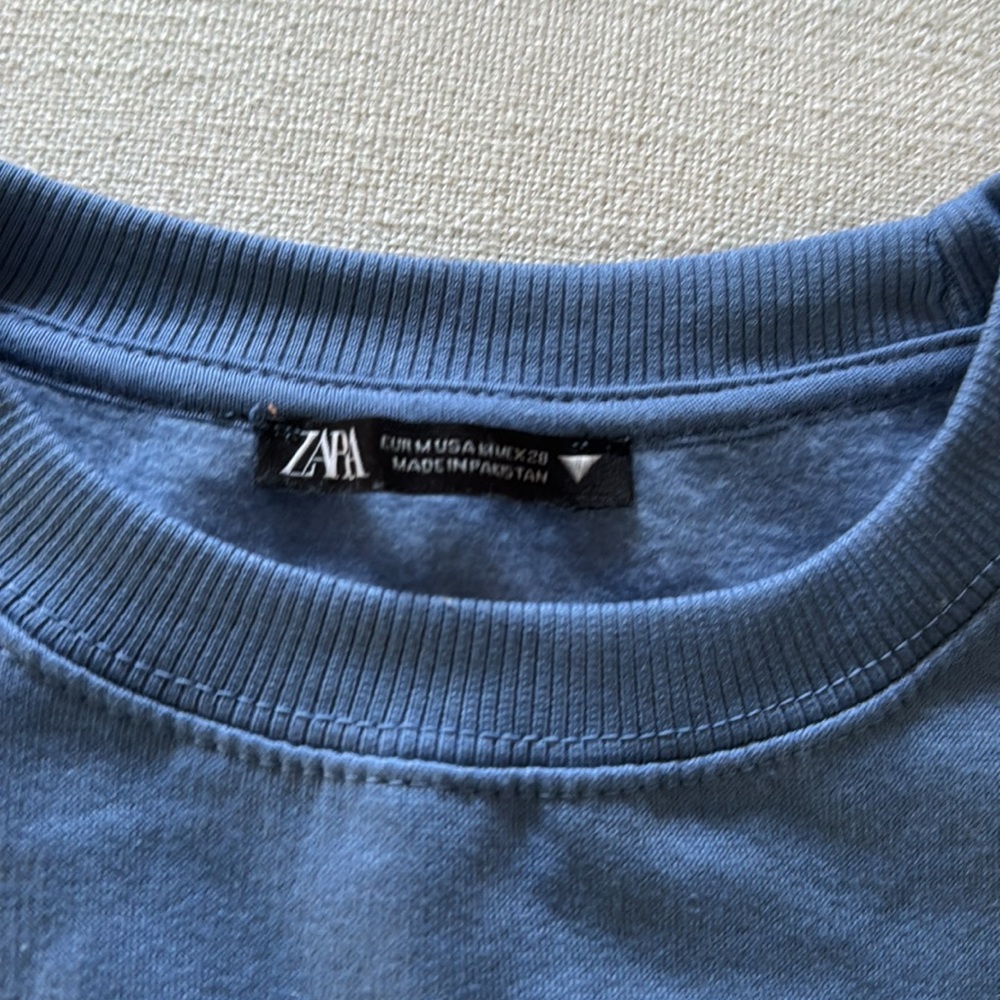 Zara sweatshirt athletic crop top